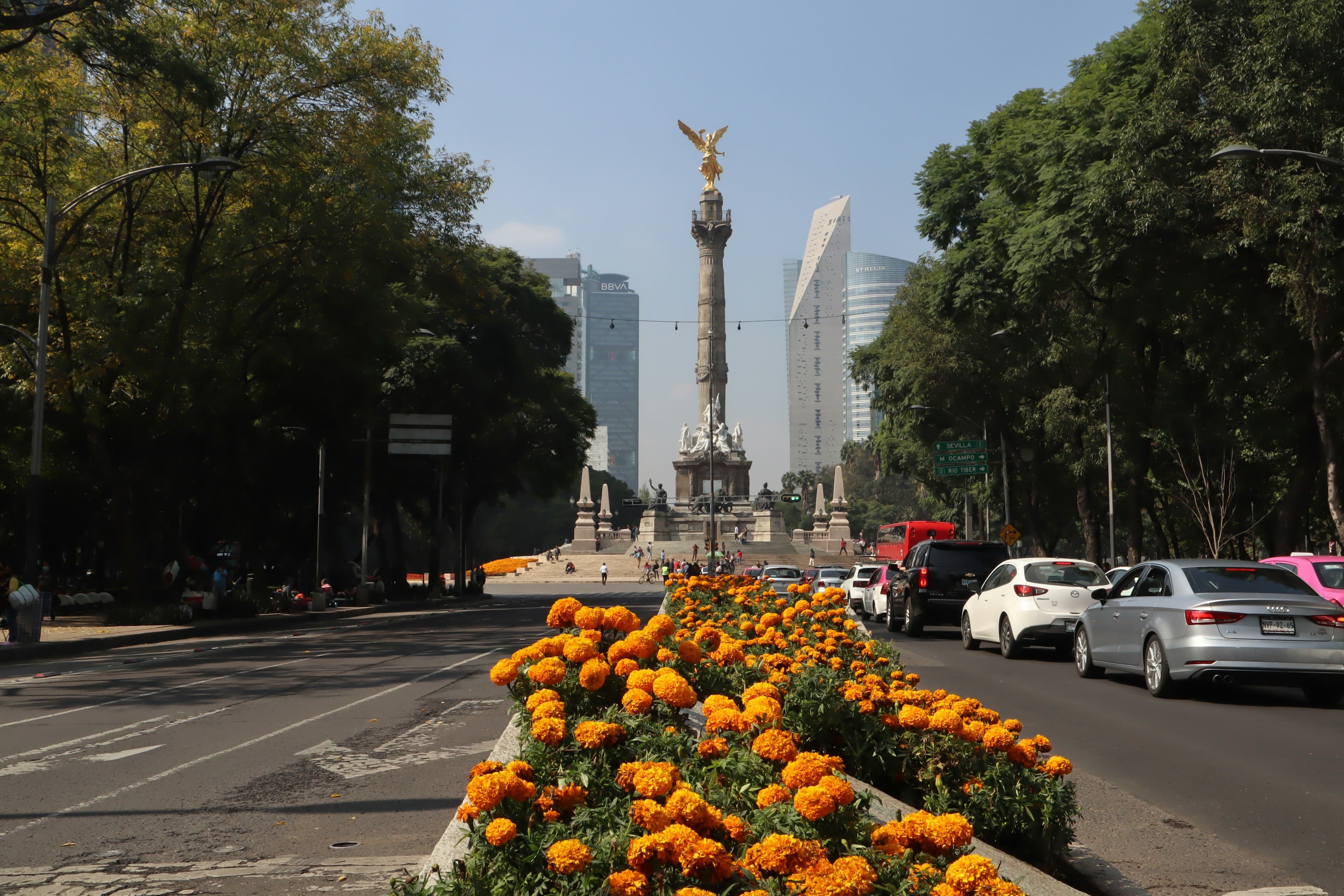 The golden Angel of Independence down Paseo de la Reforma in Mexico City, framed by trees and orange marigolds with the Reforma skyline behind.