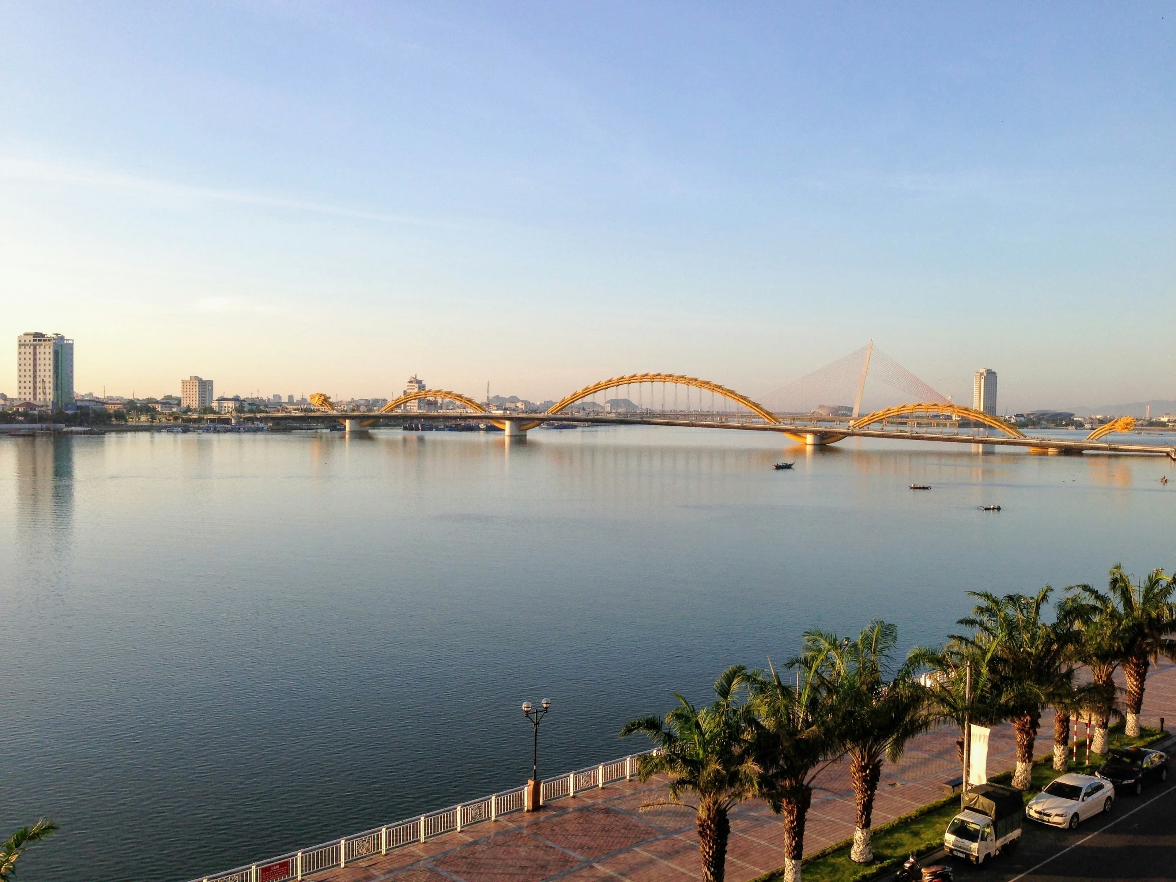 Da Nang's golden Dragon Bridge spanning the Han river at golden hour, palm trees lining the riverfront promenade.