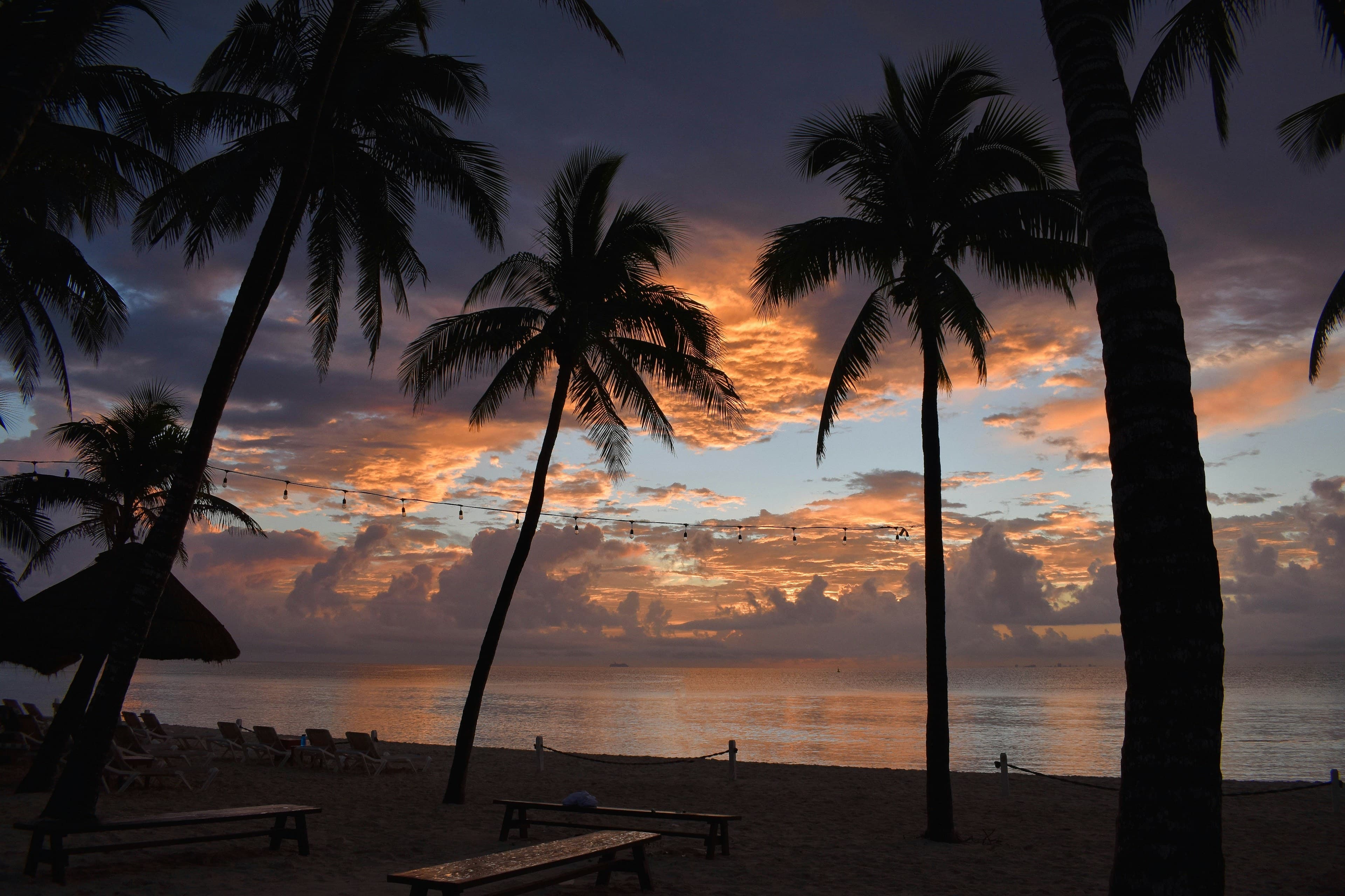 A Playa del Carmen beach at golden hour, palm trees silhouetted against an orange sky over the calm Caribbean.